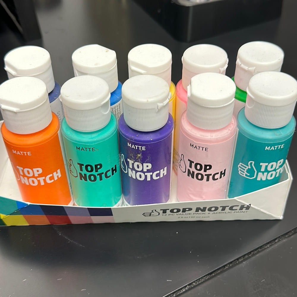Brand new Top Notch 10 PCs value pack acrylic paint
